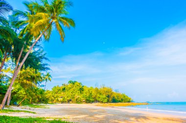 Güzel tropikal plaj 