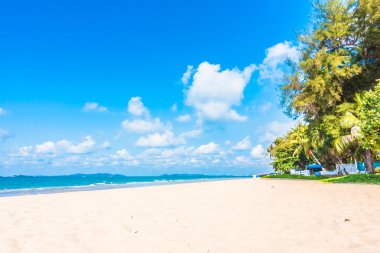 Güzel tropikal plaj 