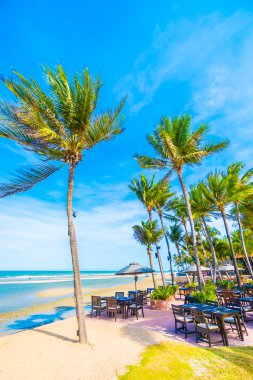 Güzel tropikal plaj 