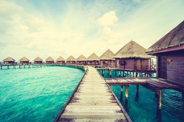 Güzel tropikal Maldivler ada