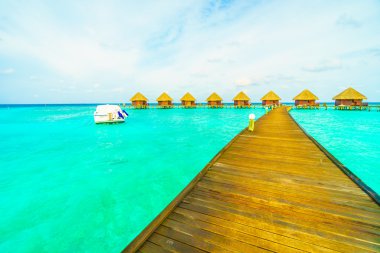 Güzel tropikal Maldivler ada