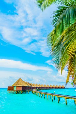 Beautiful tropical Maldives resort clipart