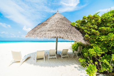 Güzel tropikal plaj 