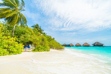 Güzel tropikal Maldivler resort