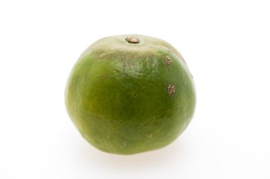 meyve beyaz arkaplanda izole