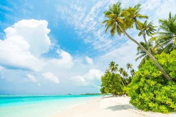 Güzel tropikal Maldivler ada