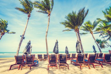 Güzel tropikal plaj 