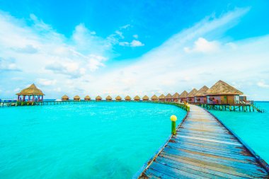 Güzel tropikal Maldivler ada