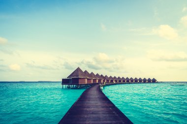 Güzel tropikal Maldivler ada
