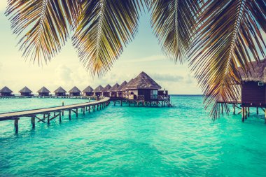 Güzel tropikal Maldivler resort