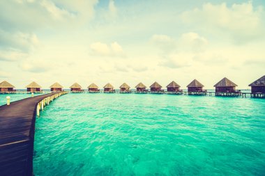 Güzel tropikal Maldivler ada