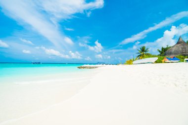 Güzel tropikal Maldivler resort