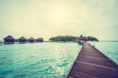 Güzel tropikal Maldivler ada