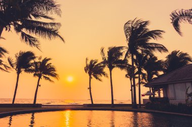 gün batımı ile siluet palmiye ağacı