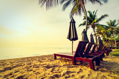 Plaj ve deniz güzel Hindistan cevizi hurma ağacı