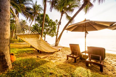 Plaj ve deniz güzel Hindistan cevizi hurma ağacı