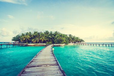 Güzel tropikal Maldivler resort