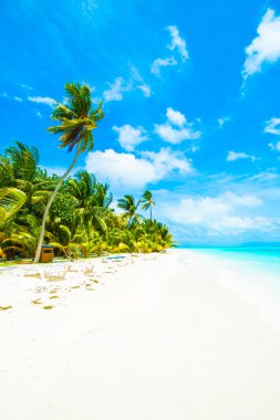 Güzel tropikal plaj 