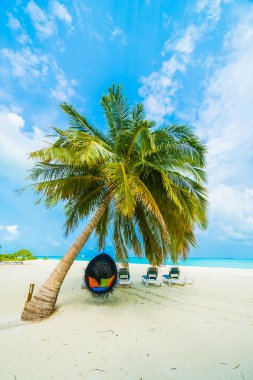 Güzel tropikal plaj 