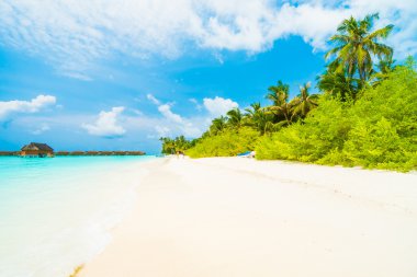 Güzel tropikal plaj 