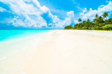 Güzel tropikal plaj 