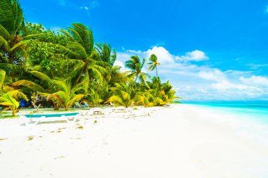 Güzel tropikal plaj 
