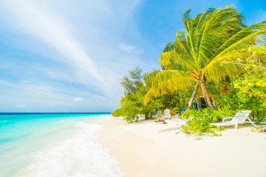Güzel tropikal Maldivler resort