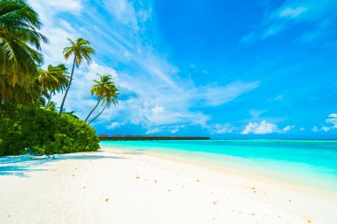 Güzel tropikal plaj 