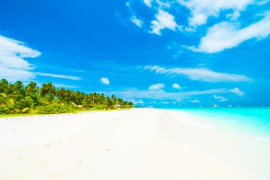 Güzel tropikal plaj 