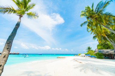 Güzel tropikal Maldivler resort