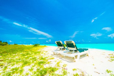 Güzel tropikal plaj 