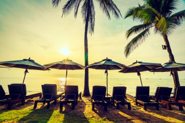 Plaj ve deniz güzel Hindistan cevizi hurma ağacı