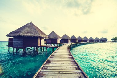 Güzel tropikal Maldivler ada