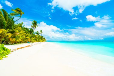 Güzel tropikal plaj 