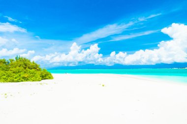 Güzel tropikal plaj 