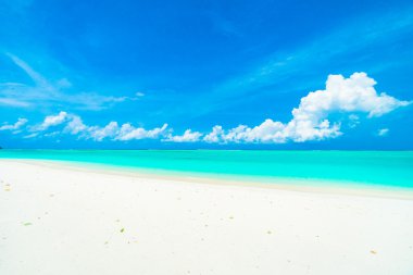 Güzel tropikal plaj 