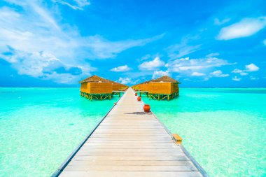 Güzel tropikal plaj 