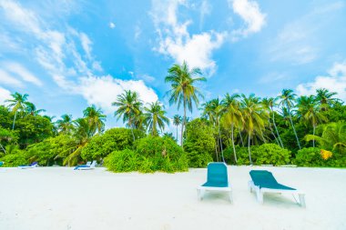 Güzel tropikal plaj 