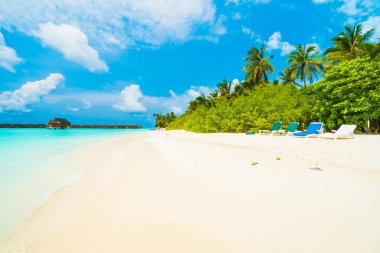 Güzel tropikal plaj 