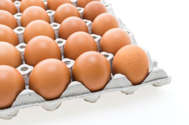 Beyaz yumurta paketi