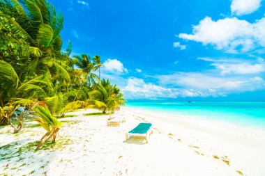 Güzel tropikal plaj 