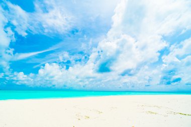 Güzel tropikal plaj 