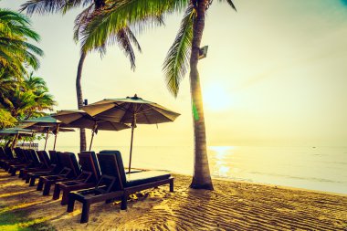 Plaj ve deniz güzel Hindistan cevizi hurma ağacı