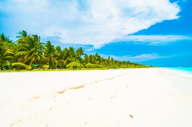Güzel tropikal plaj 