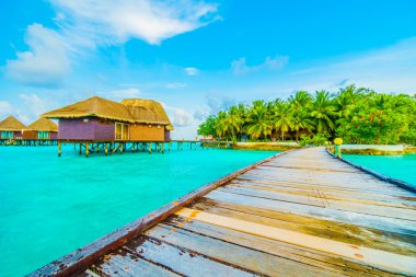 Güzel tropikal Maldivler resort