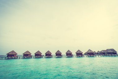 Güzel tropikal Maldivler ada