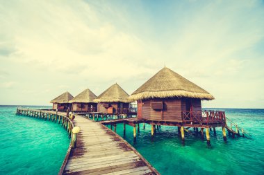 Güzel tropikal Maldivler ada