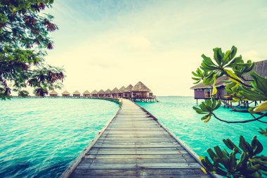Güzel tropikal Maldivler ada