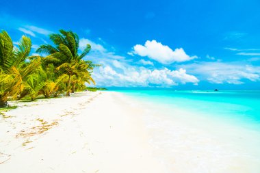 Güzel tropikal plaj 