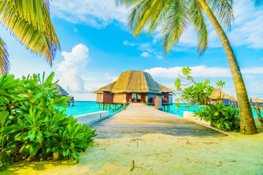 Güzel tropikal Maldivler resort